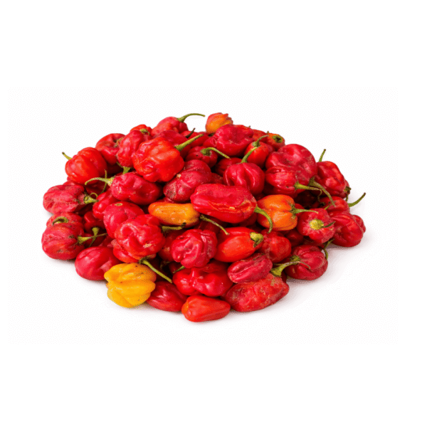 Rodo Scotch Bonnet