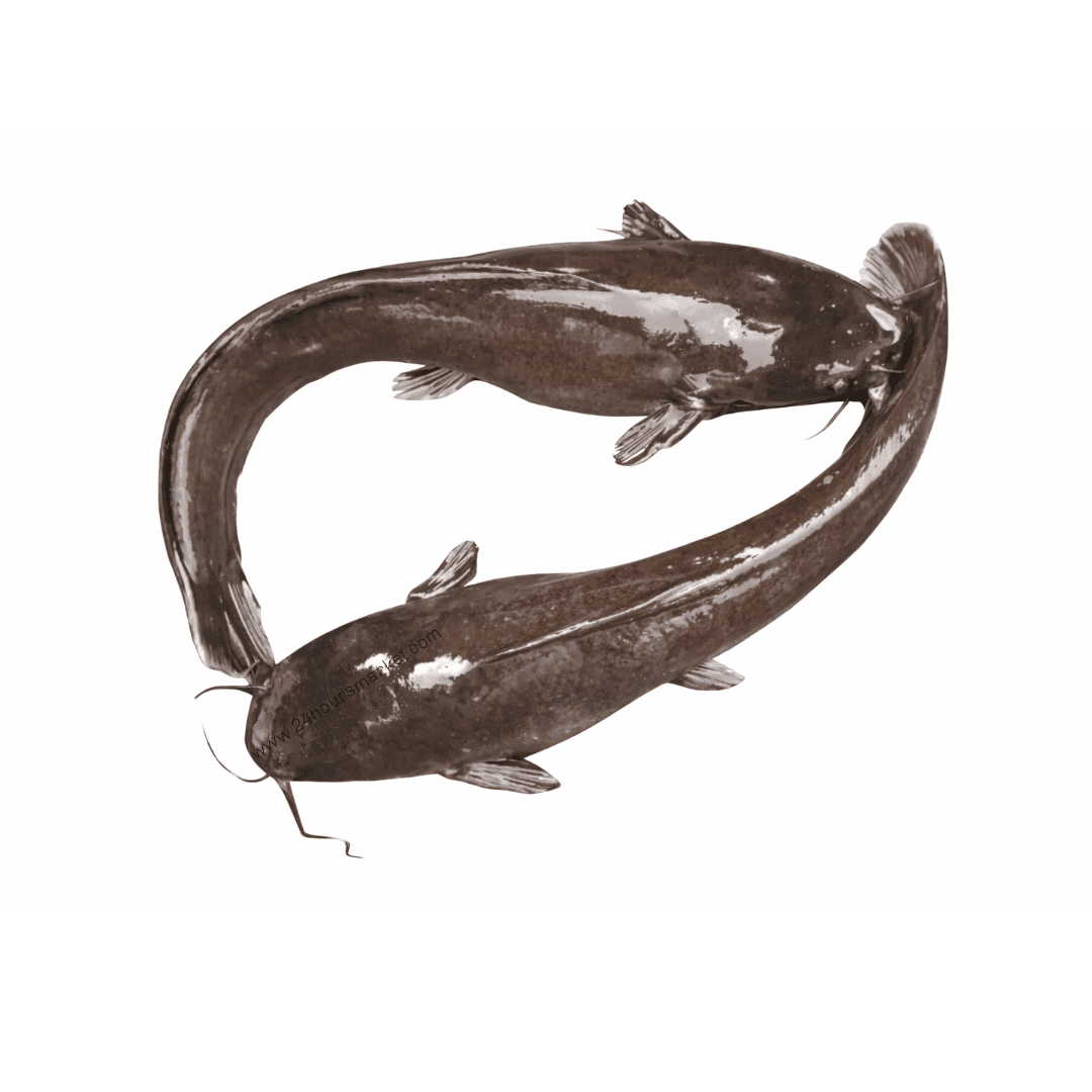 Fresh Catfish 1kg+