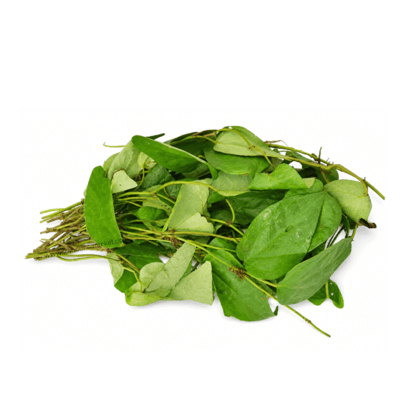 1000187833 Fresh Uziza Leaves Bunch