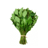1000187841 Fresh Scent Leaf (Efinrin) Bunch