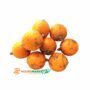African Star Apple Agbalumo x6