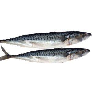 MACKEREL Titus Fish 1kg