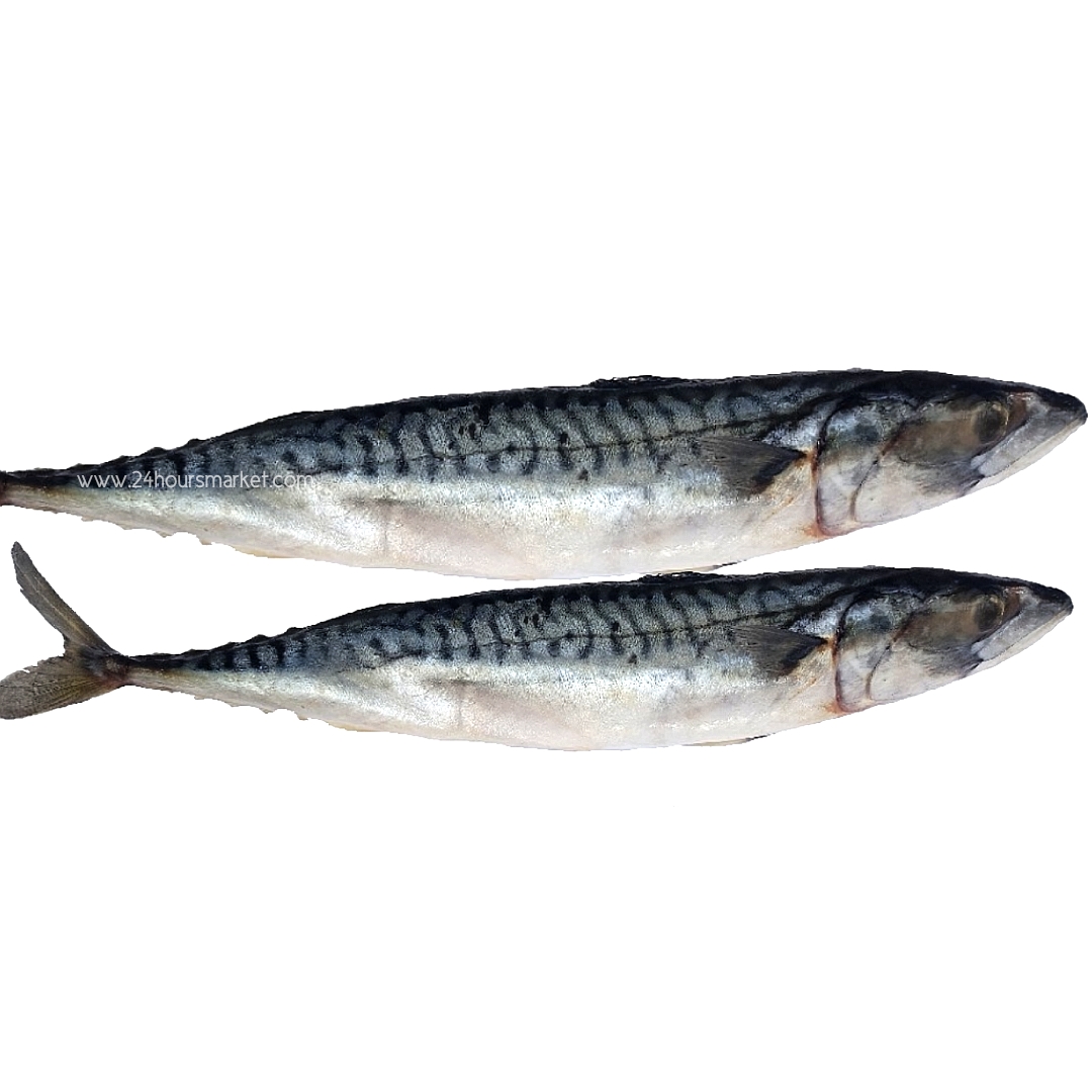 TITUS FISH/kilo