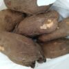 Tuber of yam