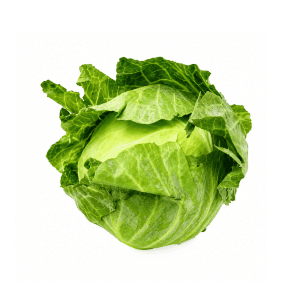1000187574 Fresh Green Cabbage 200g+