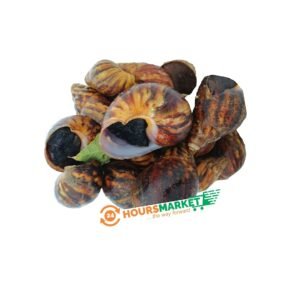 Live Snails average sizes