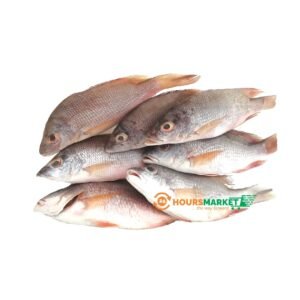 FRESH Red Snapper Fish 1kg small sizes