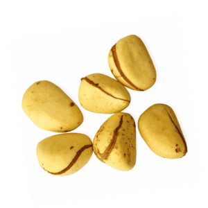 1000186753 Fresh Yellow Kolanut x6