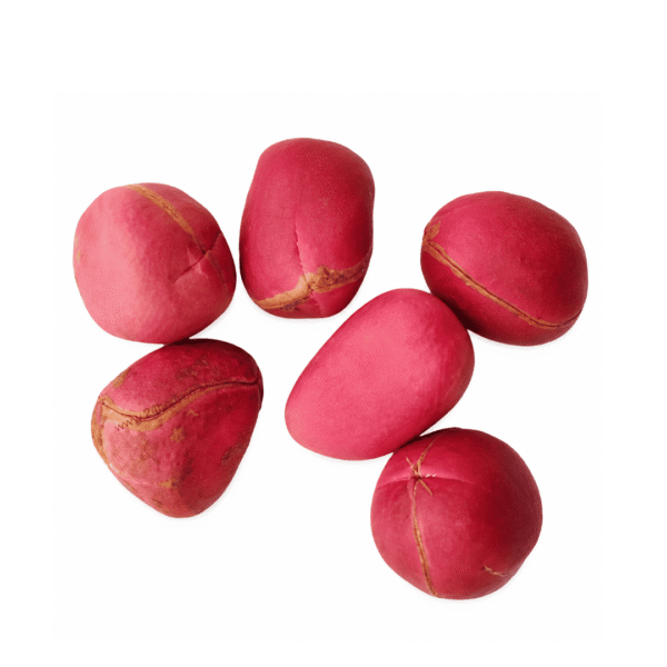 1000186754 Fresh Red Kolanut x6