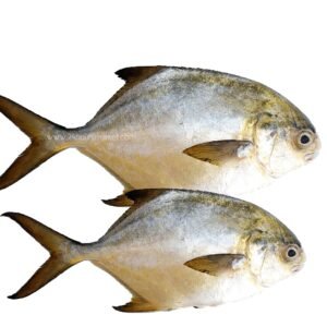 FRESH Golden Pompano Owere Fish 1pc