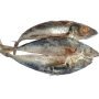 Horse Mackerel kote Fish 20kg