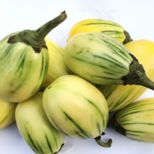 White Garden Egg - 8pcs