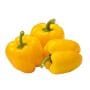 Yellow Pepper