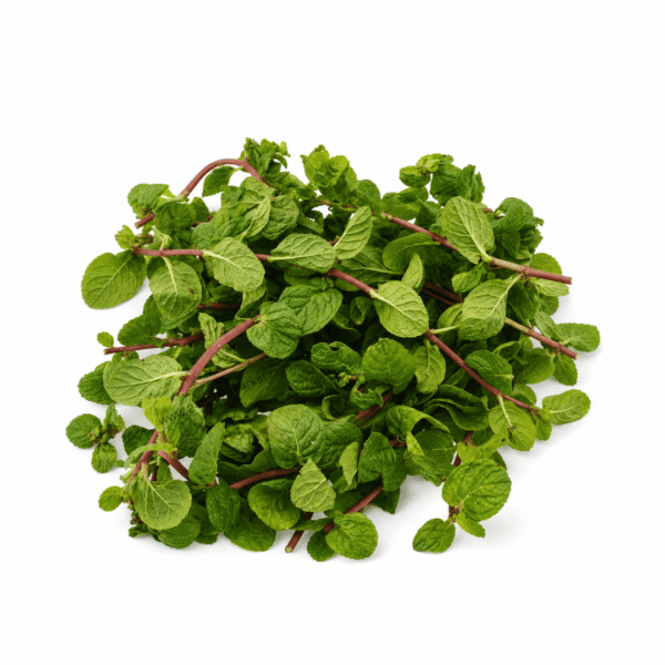 Fresh Mint Leaves Pack