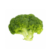 Fresh Broccoli Head