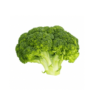 Fresh Broccoli Head