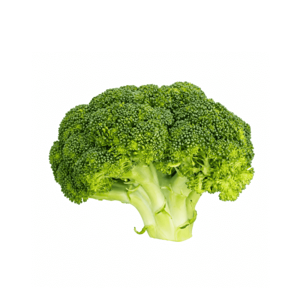 Fresh Broccoli Head