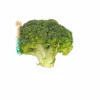 Fresh Broccoli Head