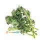 FRESH Kale 30g+