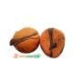 Kolanut Obi obata x24