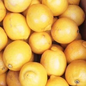 LEMON - Imported - Each