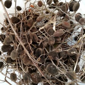 Velvet Tamarind  AWIN 250g