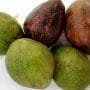 Avocado Pear