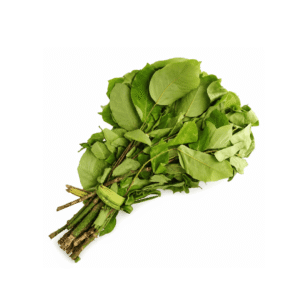 Fresh Oha Leaves Bunch