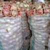 Bag of Dry Onions