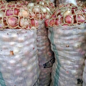 Bag of dry onions