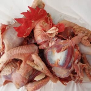 Freshly slaughtered Local Chicken Adiye Ibile