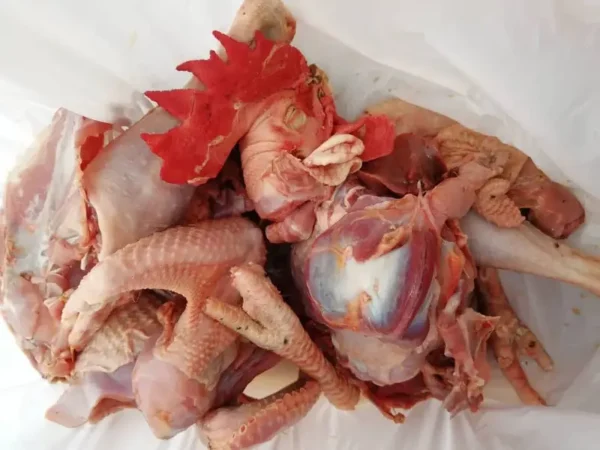 Freshly Slaughtered Old Layers Chicken