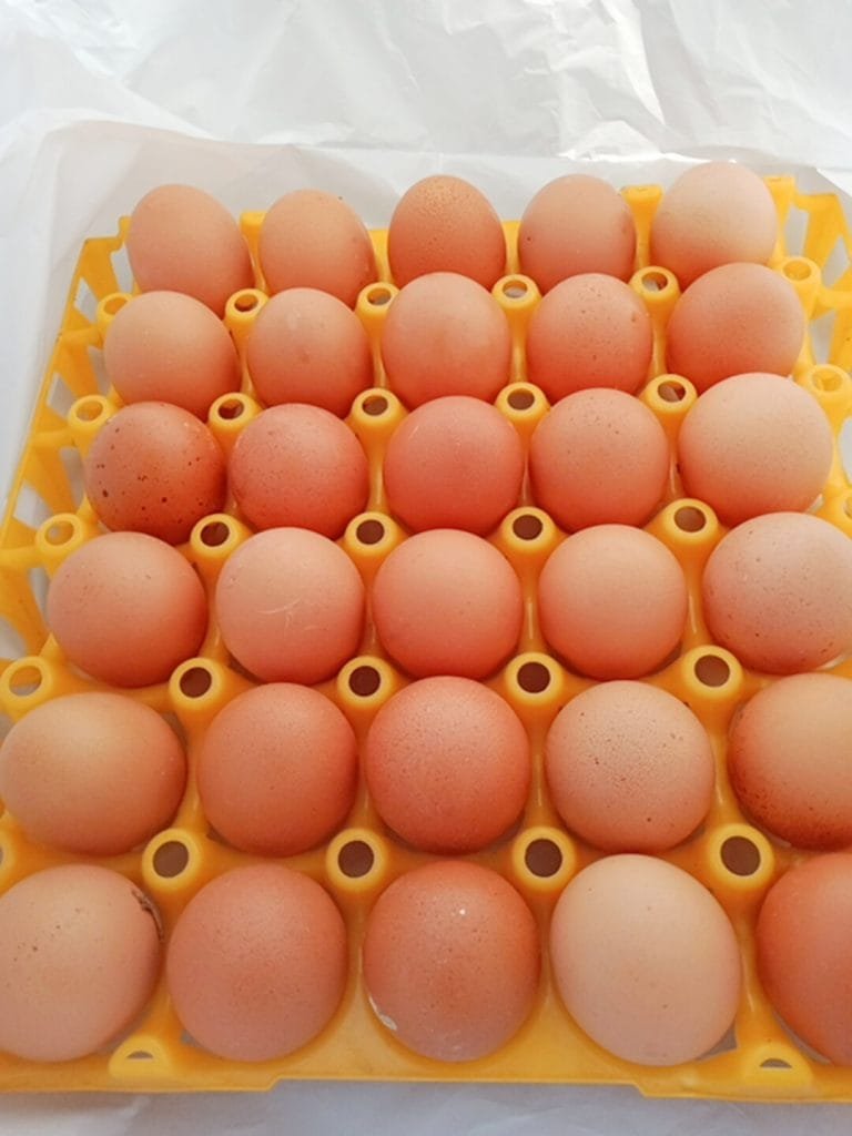EGG 30 eggs no Crate • 24 Hours Market Lagos, Nigeria