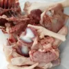 Freshly Slaughtered Old Layers Chicken