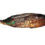 Whole smoked Tuna Fish