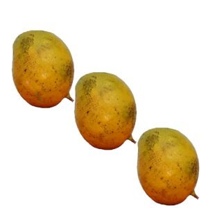 FRESH Mango