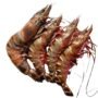 FRESH Jumbo prawn 1kg