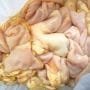 Portion of cow intestines round about