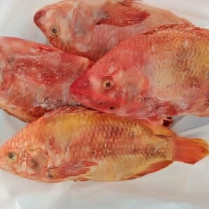 Red Tilapia fish 1kg