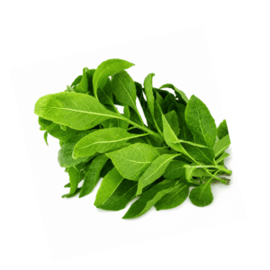 Fresh Bitter Leaf Vegetable Bunch