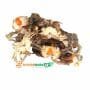 FRESH cleaned Crabs x7