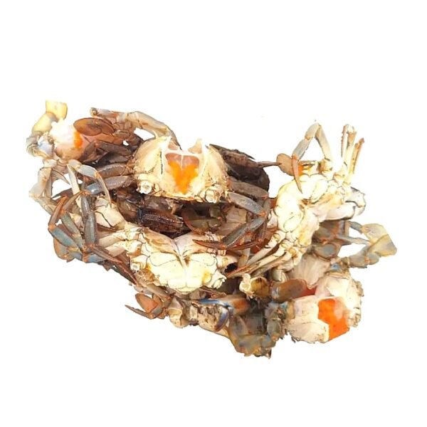 Fresh river clean crabs Fresh clean crabs