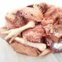 Broiler Chicken freshly slaughtered
