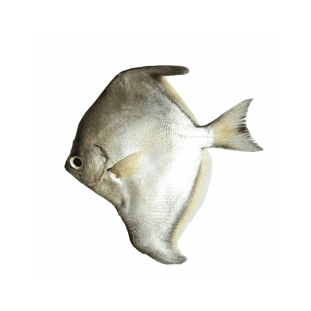 Mono Fish 1kg