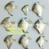 Mono Fish 1kg