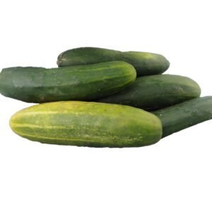 Fresh cucumber