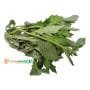 Fireweed Efo Ebolo vegetable leaf