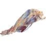Whole Cow shank - Ijase