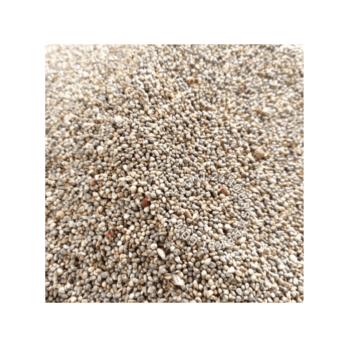 Pearl millet 4L bkt