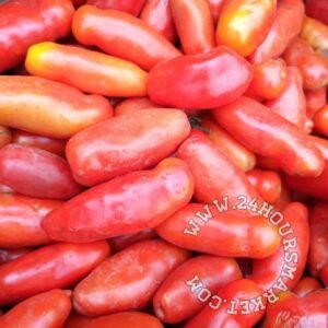 Portion of Yoruba Tomatoes 600g+